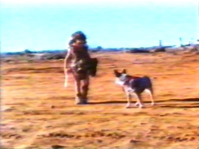 FeralKidandDog2.jpg (22273 bytes)