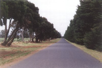 FarmRoad1.jpg (19321 bytes)