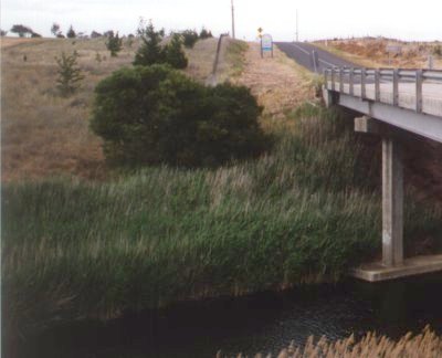 KirksBridge1.jpg (22370 bytes)